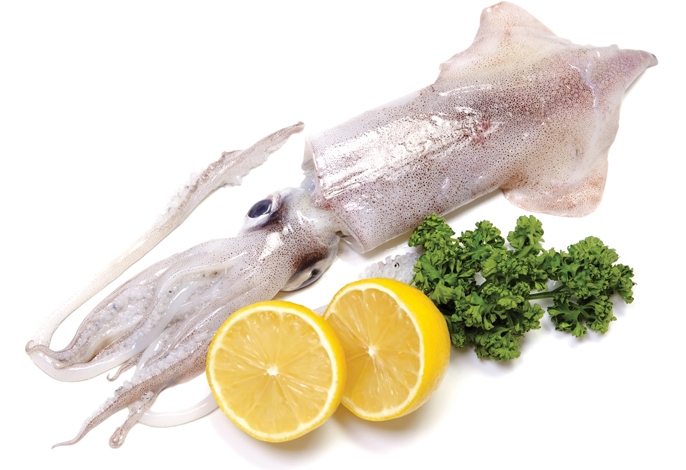 SQUID WHOLE