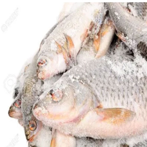 Frozen Fish